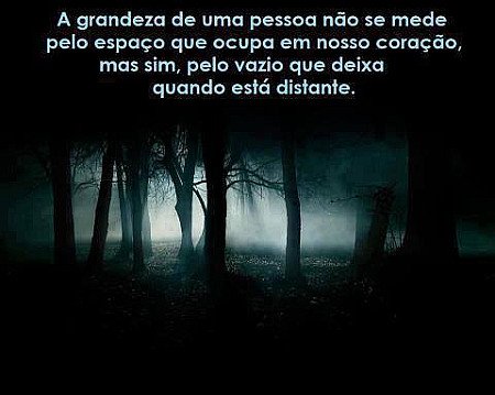 A grandeza de uma pessoa não se mede pelo espaço que ocupa em nosso coração, mas...