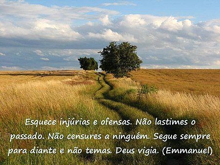 Esquece injurias e ofensas. Não lastimes o passado. Não censures a ninguém. Segu...