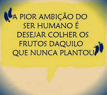 A pior ambição do ser humano é desejar colher os frutos daquilo que nunca planto...