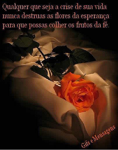 Qualquer que seja a crise da sua vida nunca destruas as flores da esperança para...