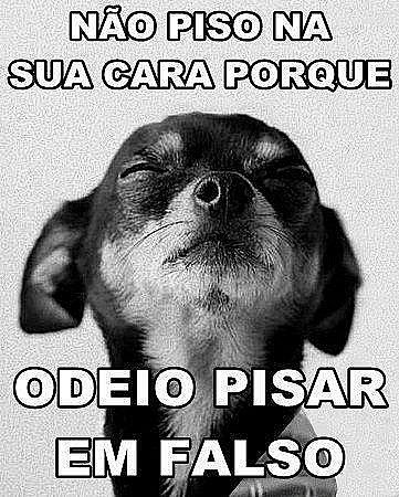 Não piso a sua cara porque odeio pisar em falso!
