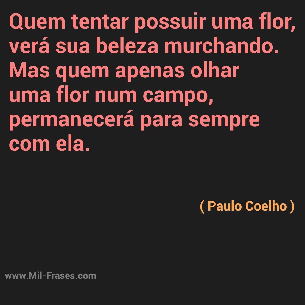 An image with the following quote Quem tentar possuir uma flor...