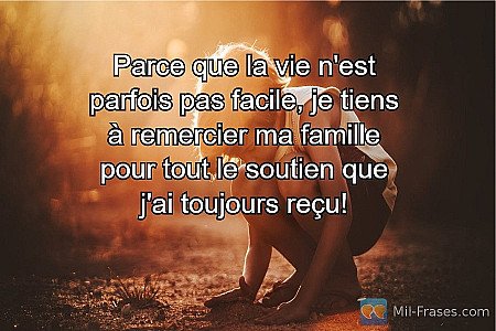 Parce que la vie n'est parfois pas facile, je tiens à remercier ma famille pour...