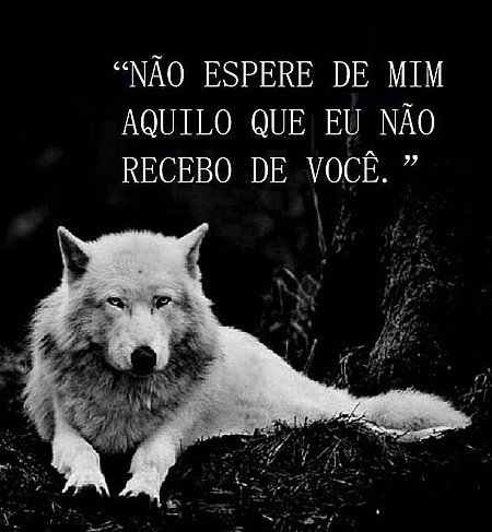 Não espere de mim aquilo que eu não recebo de você.