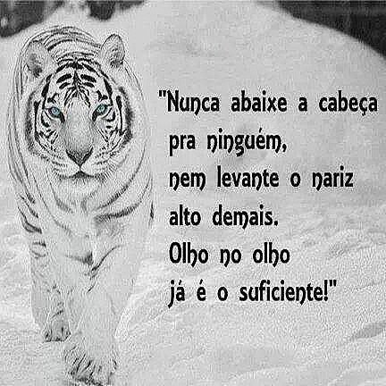Nunca baixe a cabeça para ninguém, nem levante o nariz alto demais. Olho no olho...