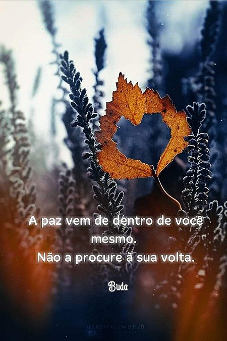 A paz vem de dentro de você mesmo. Não procure à sua volta.
