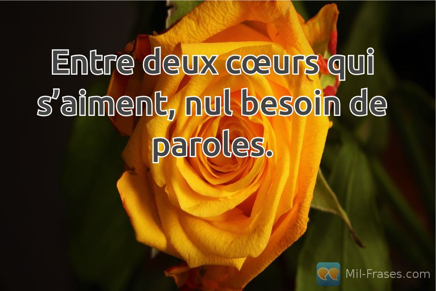An image with the following quote Entre deux cœurs qui s’aiment, nul besoin de paroles.