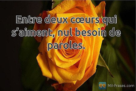 Entre deux cœurs qui s’aiment, nul besoin de paroles.