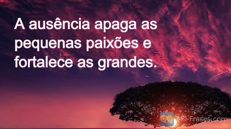 An image with the following quote A ausência apaga as pequenas paixões e fortalece as grandes.