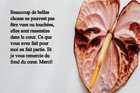 Beaucoup de belles choses ne peuvent pas être vues ou touchées, elles sont resse...