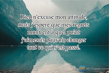 Rien n'excuse mon attitude, mais j'espère que mes regrets montrent à quel point...