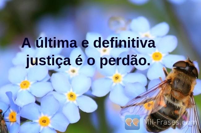 An image with the following quote A última e definitiva justiça é o perdão.