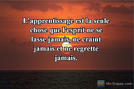 L'apprentissage est la seule chose que l'esprit ne se lasse jamais, ne craint ja...