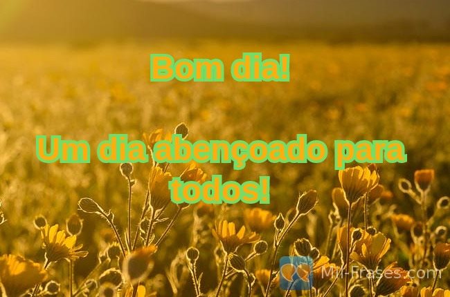 An image with the following quote Bom dia!

Um dia abençoado para todos!