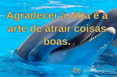 Agradecer à vida é a arte de atrair coisas boas.