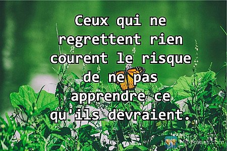 Ceux qui ne regrettent rien courent le risque de ne pas apprendre ce qu'ils devr...