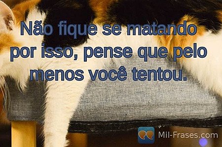 Não fique se matando por isso, pense que pelo menos você tentou.