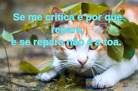 Se me critica é por que repara,
e se repara não é a toa. 