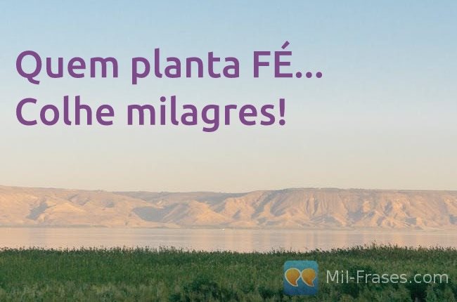 An image with the following quote Quem planta FÉ... Colhe milagres!