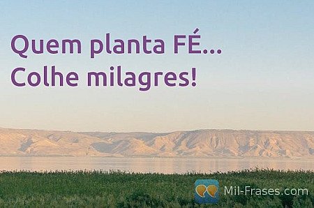 Quem planta FÉ... Colhe milagres!