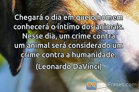 Chegará o dia em que o homem conhecerá o íntimo dos animais. Nesse dia, um crime...