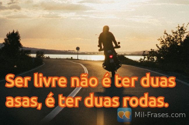 An image with the following quote Ser livre não é ter duas asas, é ter duas rodas.