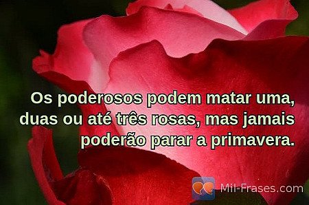 Os poderosos podem matar uma, duas ou até três rosas, mas jamais poderão parar a...