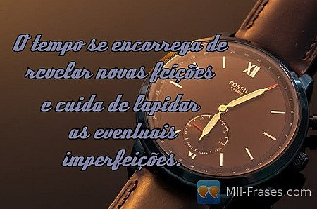 O tempo se encarrega de  revelar novas feições

e cuida de lapidar
as eventuais...