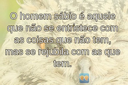 O homem sábio é aquele que não se entristece com as coisas que não tem, mas se r...