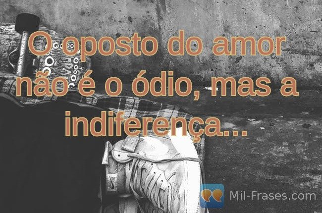 An image with the following quote O oposto do amor não é o ódio, mas a indiferença...