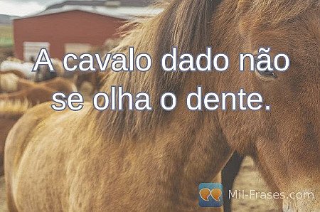 A cavalo dado não se olha o dente.