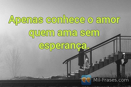 Apenas conhece o amor quem ama sem esperança.