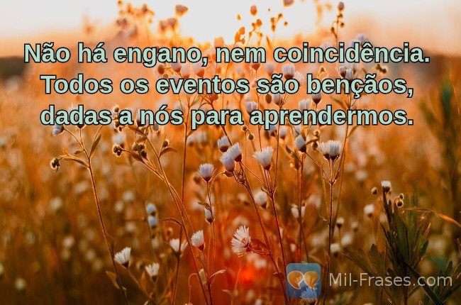 An image with the following quote Não há engano, nem coincidência. Todos os eventos são bençãos, dadas a nós para aprendermos.