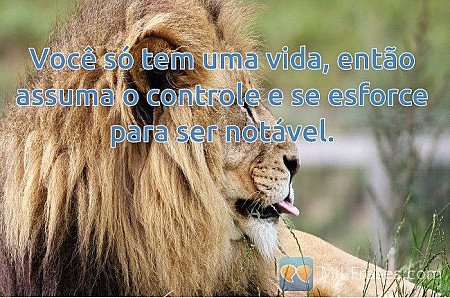 Você só tem uma vida, então assuma o controle e se esforce para ser notável.