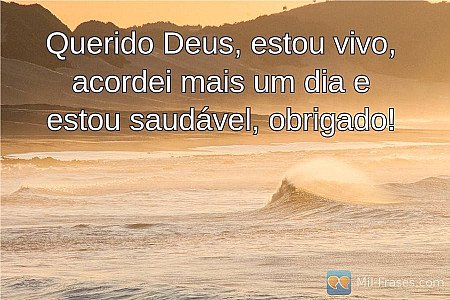 Querido Deus, estou vivo, acordei mais um dia e estou saudável, obrigado!