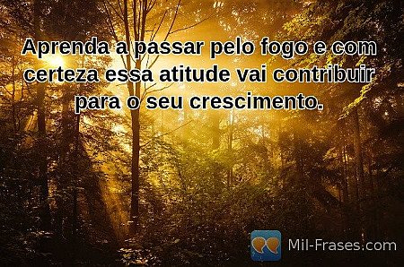 Aprenda a passar pelo fogo e com certeza essa atitude vai contribuir para o seu...