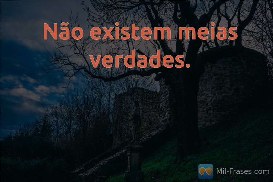 An image with the following quote Não existem meias verdades.