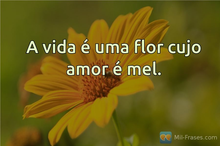 An image with the following quote A vida é uma flor cujo amor é mel.