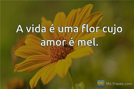 A vida é uma flor cujo amor é mel.