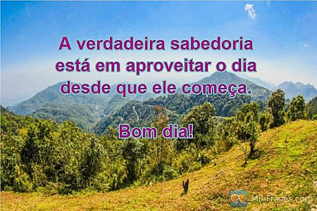 A verdadeira sabedoria está em aproveitar o dia desde que ele começa.

Bom dia!