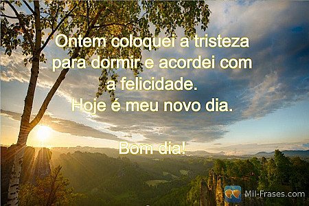 Ontem coloquei a tristeza para dormir e acordei com a felicidade.
Hoje é meu nov...