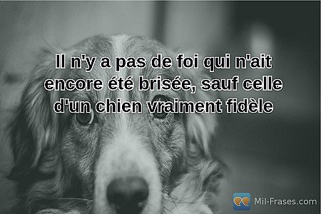 Il n'y a pas de foi qui n'ait encore été brisée, sauf celle d'un chien vraiment...