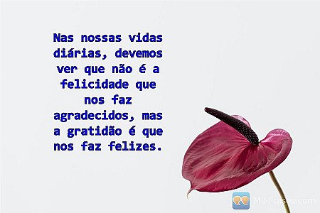 Nas nossas vidas diárias, devemos ver que não é a felicidade que nos faz agradec...