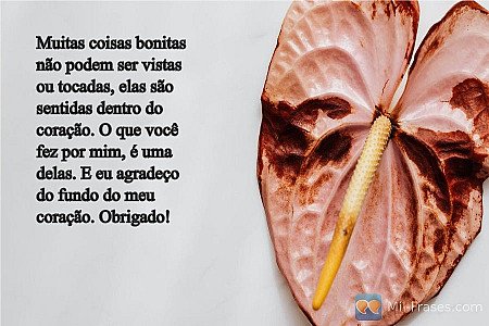 Muitas coisas bonitas não podem ser vistas ou tocadas, elas são sentidas dentro...