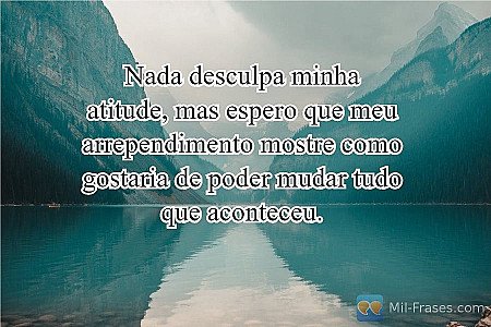 Nada desculpa minha atitude, mas espero que meu arrependimento mostre como gosta...