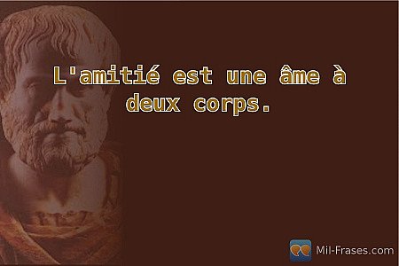 L'amitié est une âme à deux corps.