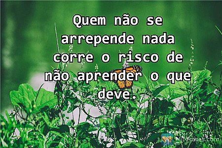 Quem não se arrepende nada corre o risco de não aprender o que deve.