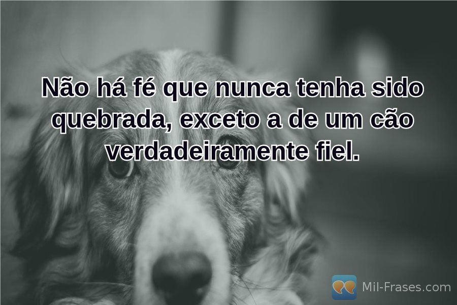 An image with the following quote Não há fé que nunca tenha sido quebrada, exceto a de um cão verdadeiramente fiel.