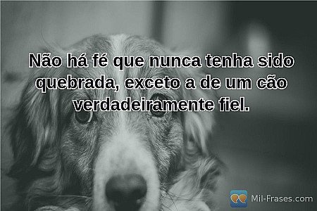 Não há fé que nunca tenha sido quebrada, exceto a de um cão verdadeiramente fiel...