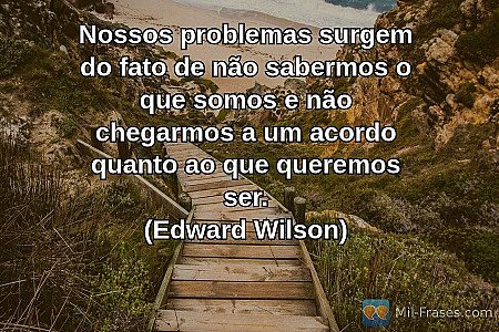 Nossos problemas surgem do fato de não sabermos o que somos e não chegarmos a um...